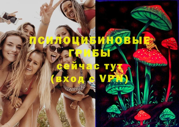 эйфоретик Бронницы