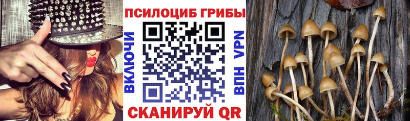 Купить  Белинский  Галлюциногенные грибы Magic Shrooms 